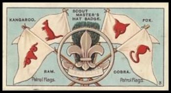 47 Patrol Flags & Hat Badges 3